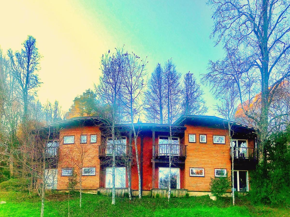 Elementos Eco Lodge Pucón Buitenkant foto