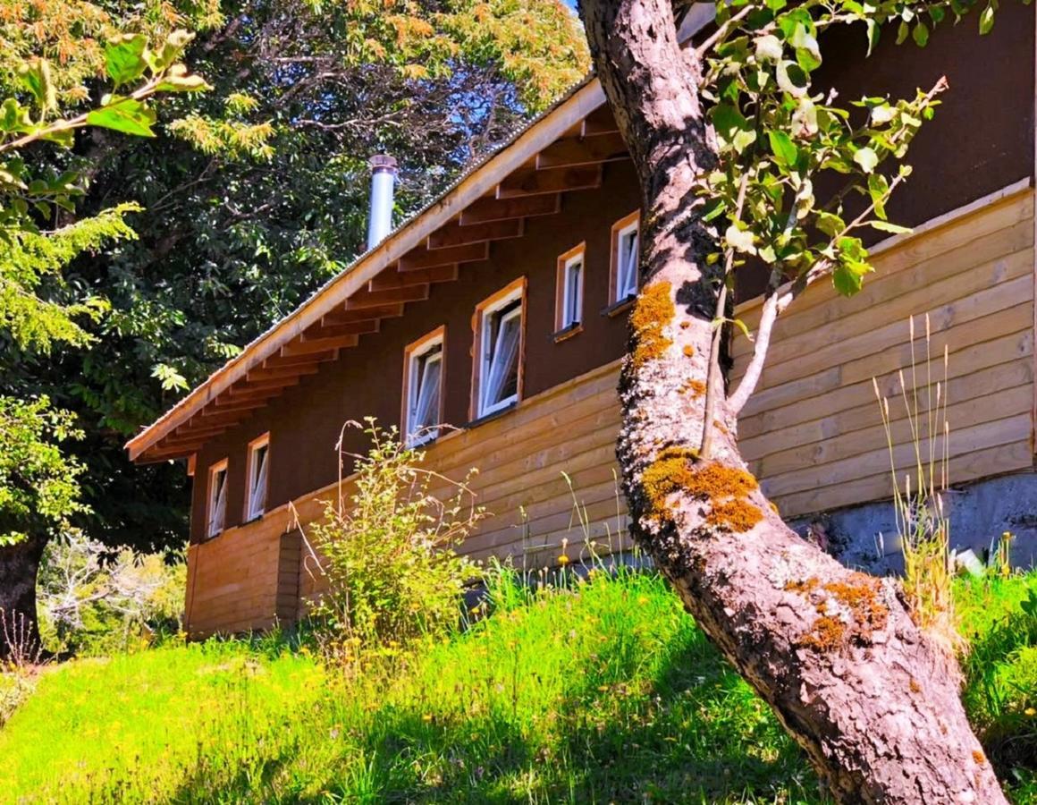 Elementos Eco Lodge Pucón Buitenkant foto